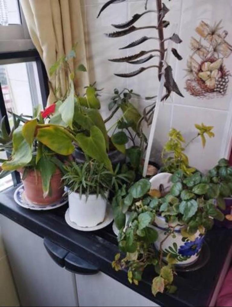Habitaciones Privadas Con Cama Doble En Sevilla 外观 照片